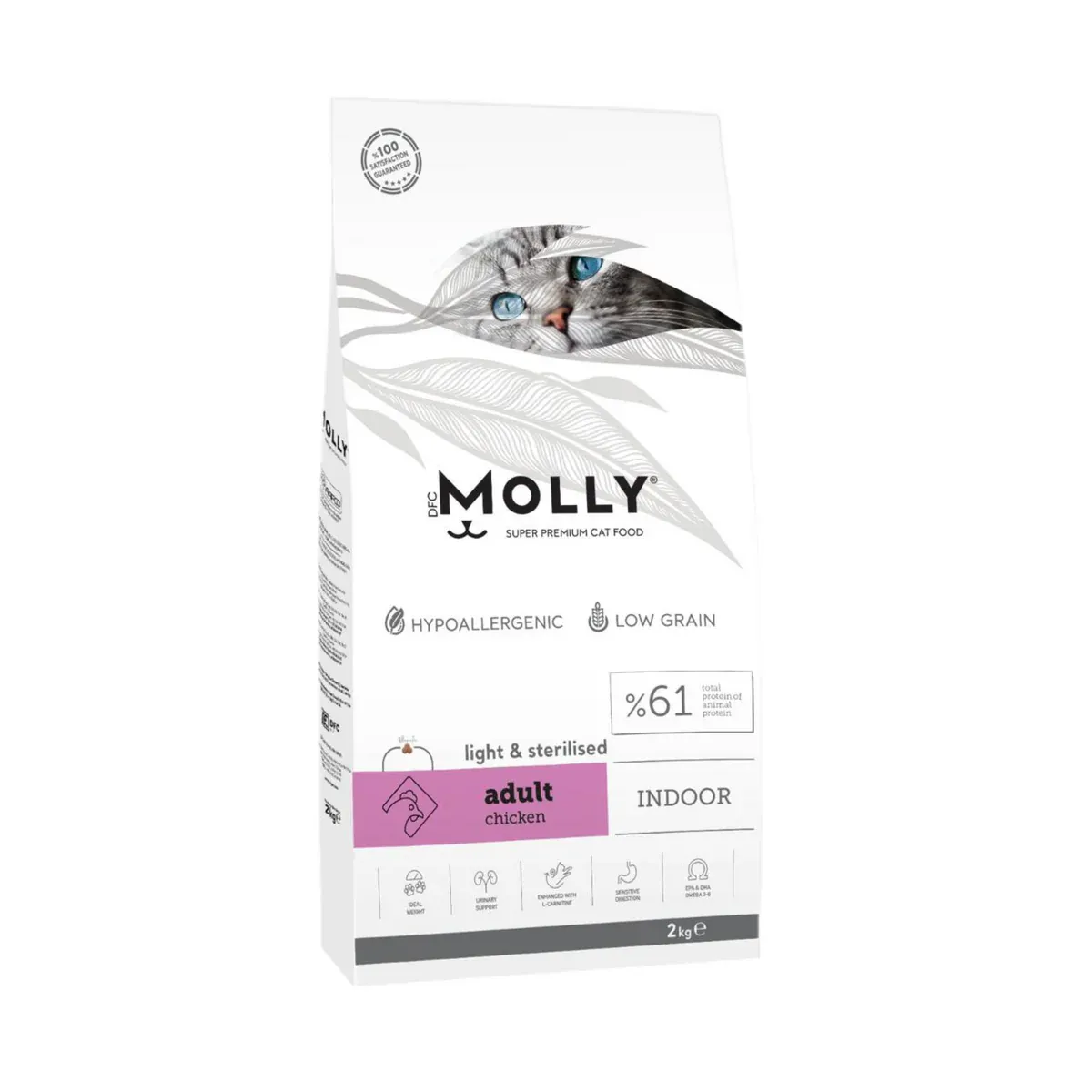 Molly Adult Chicken 2kg  طعام جاف متكامل للقطط البالغة بنكهة الدجاج